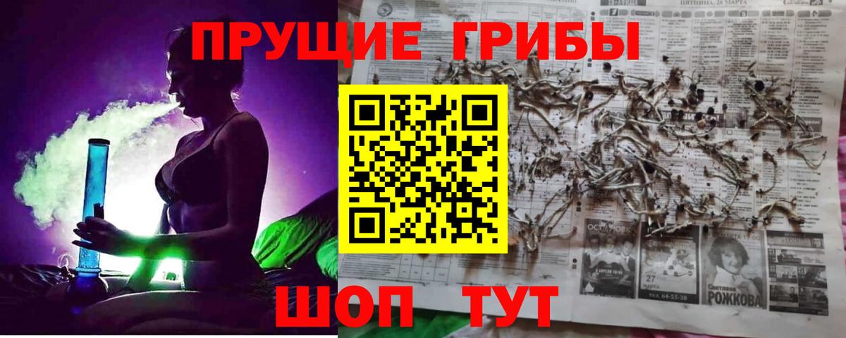 Галлюциногенные грибы ЛСД Луга